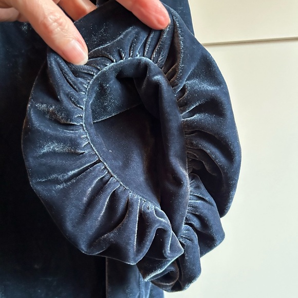 Free People Claudia Velvet Puff Sleeve Blouse - Picture 4 of 15